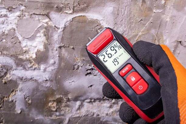 Best HVAC Mold Remediation in Cincinnati, OH