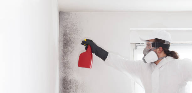 Professional Mold Remediation in Cincinnati, OH